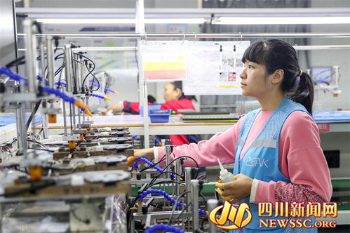 四川廣安 打造電子信息產(chǎn)業(yè)集群 讓 華鎣造 走向世界 圖